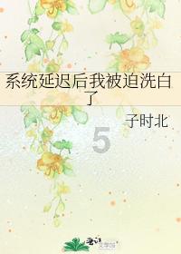 双星物语2