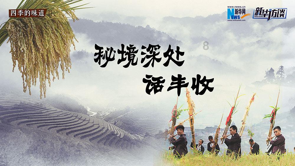 奥利维亚收养猫