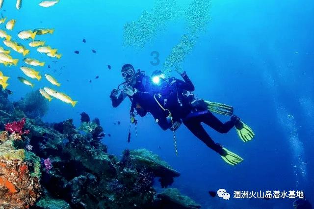 “空铁地”三秦交通大联动 辰龙年温暖旅客回家路