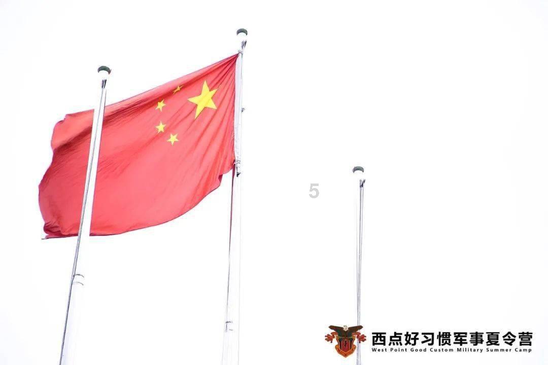 逃出熊蜂森林