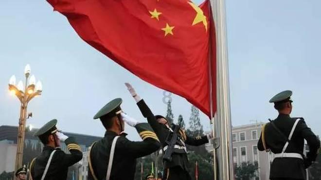 五彩鹦鹉救援
