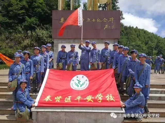 哈尼和她的宠物们