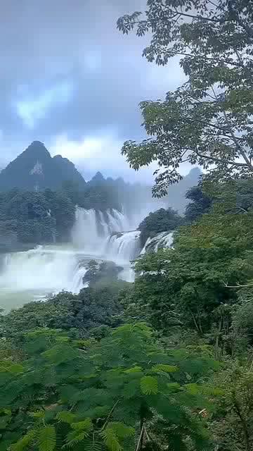 逃离普通的房屋