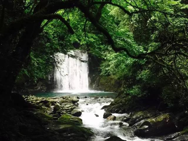 珠三角从娘胎里出来就富?客家人后到失先机,只能住山区?瞎掰!